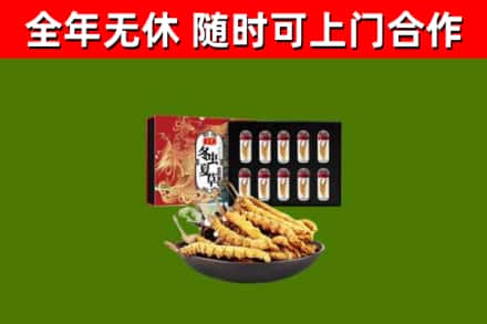 靖安县回收冬虫夏草价格